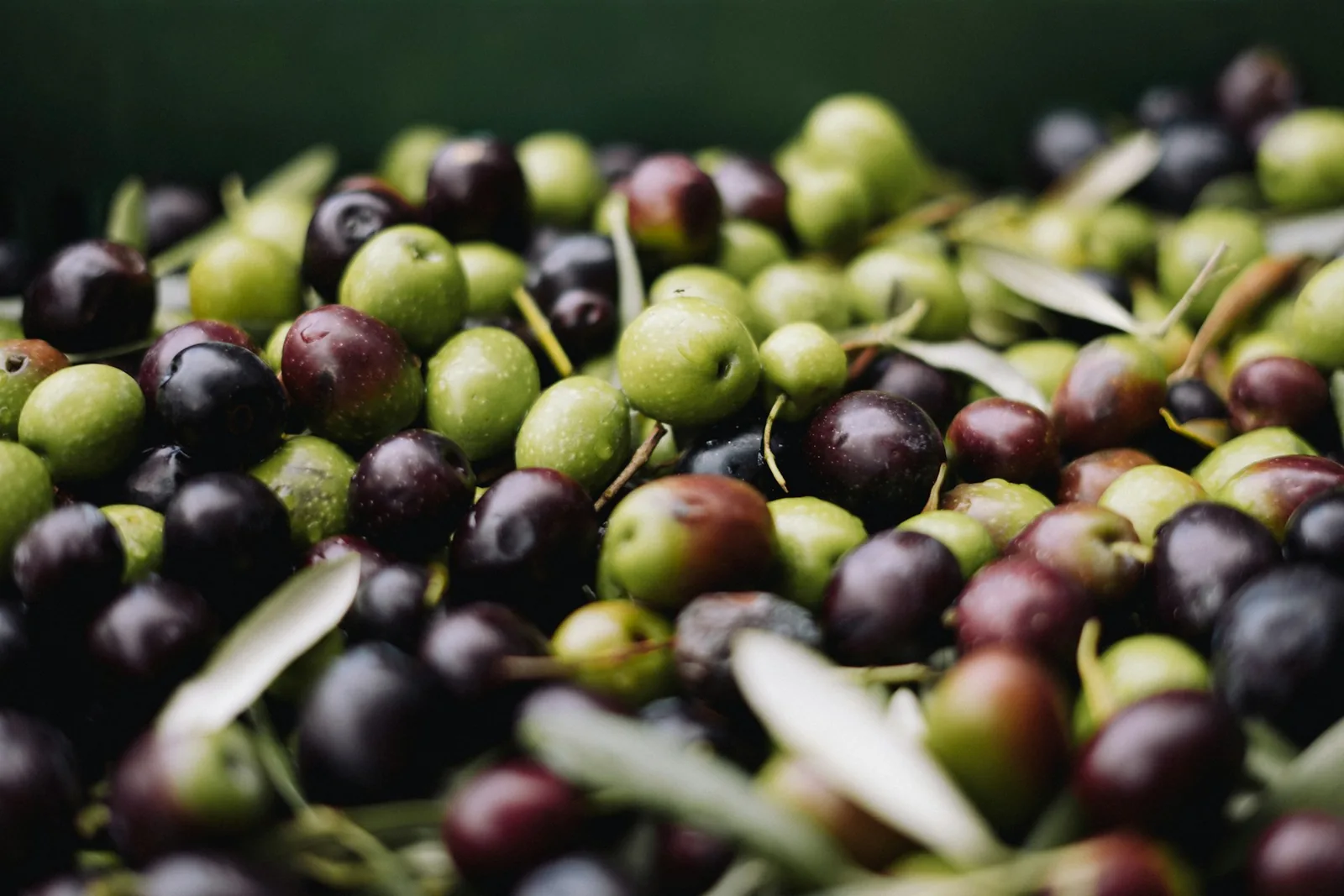 Olives and capers