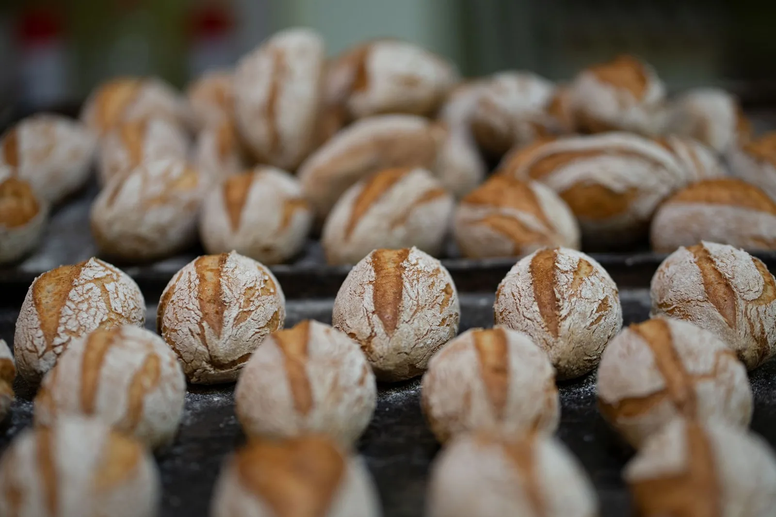 Round bread rolls