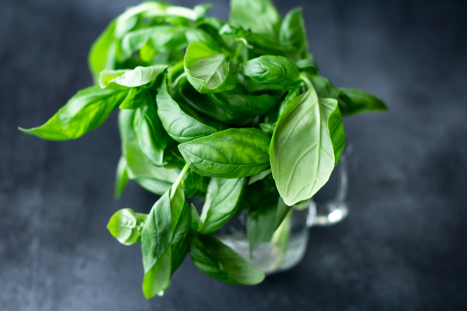 A bunch of fresh basil