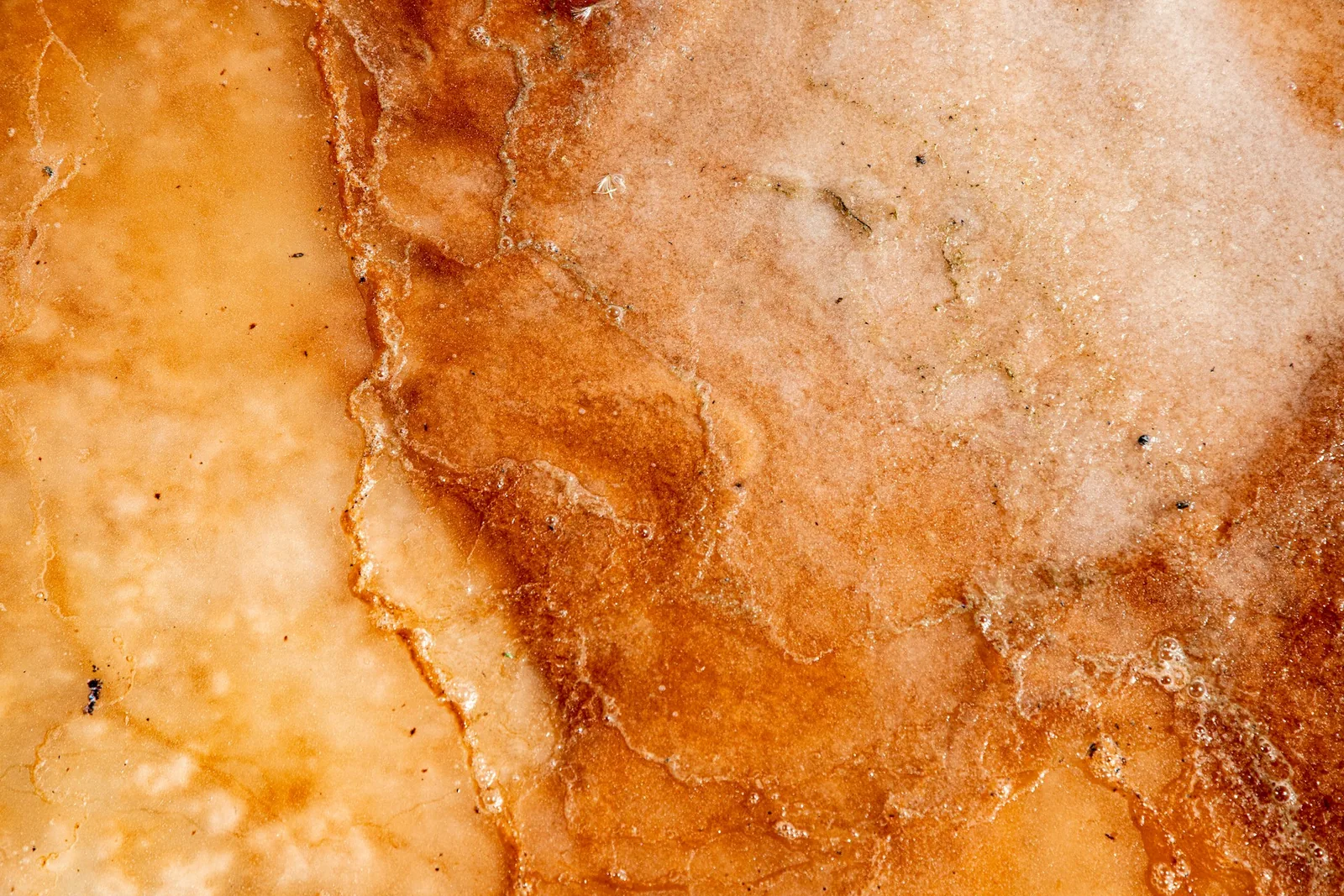 The edge of a baked crust