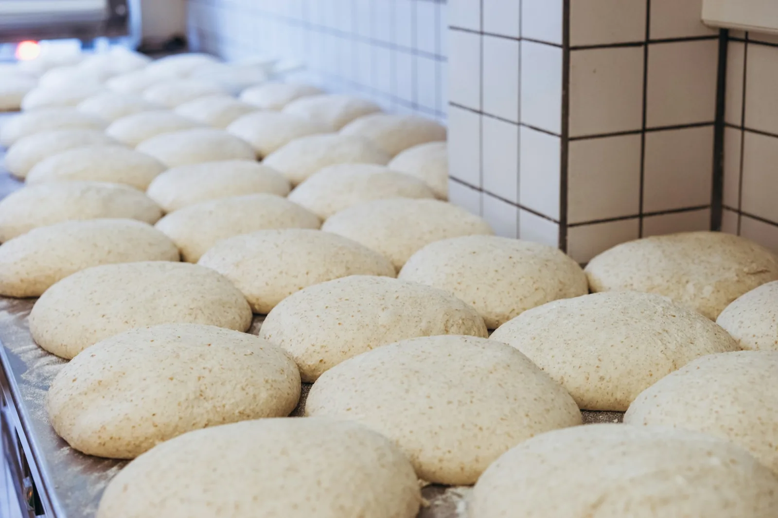 Dough proving