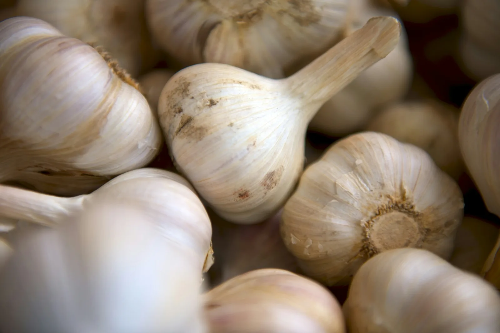 A garlic bulb and loose cloves