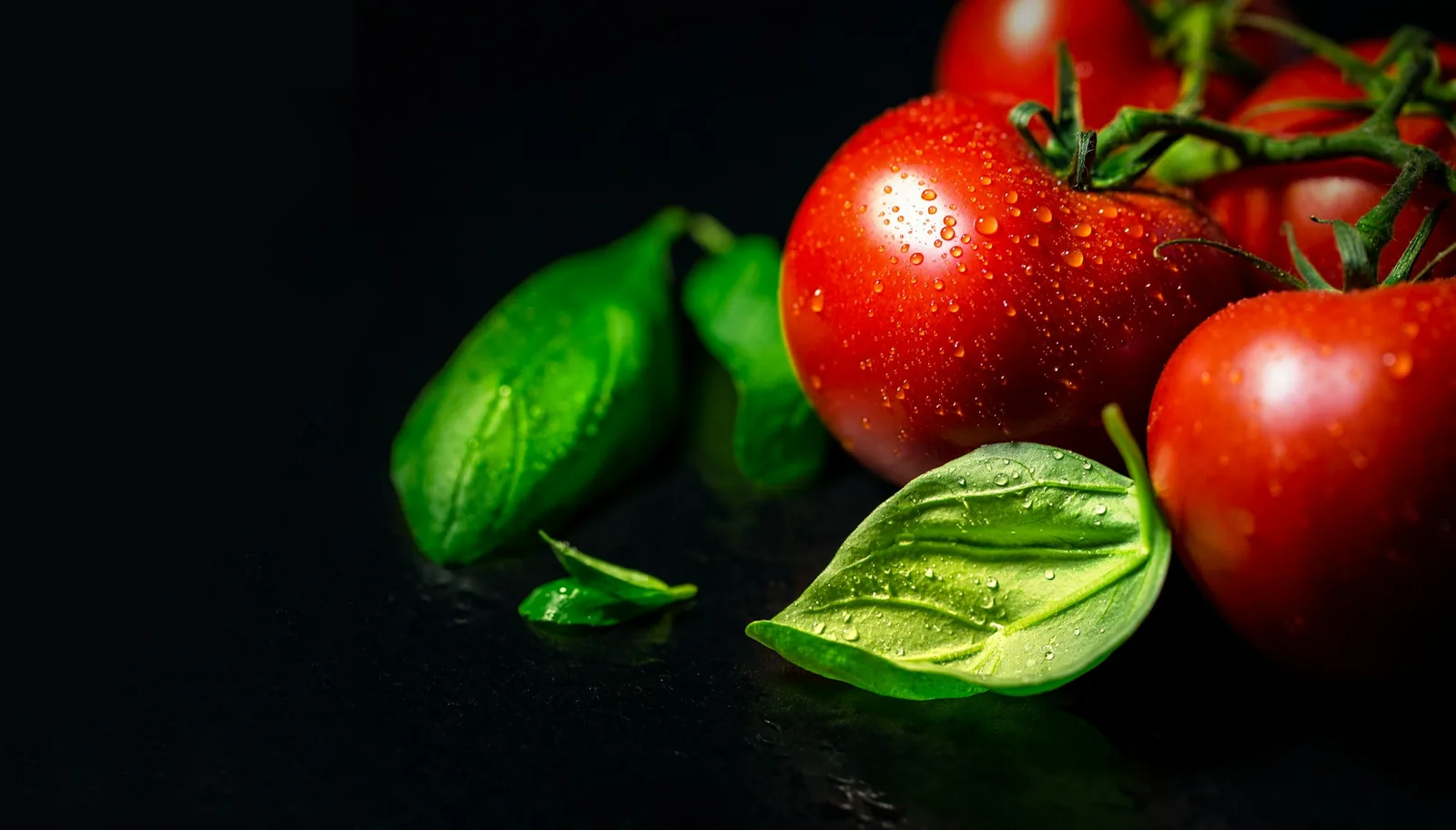 Tomatoes and basil