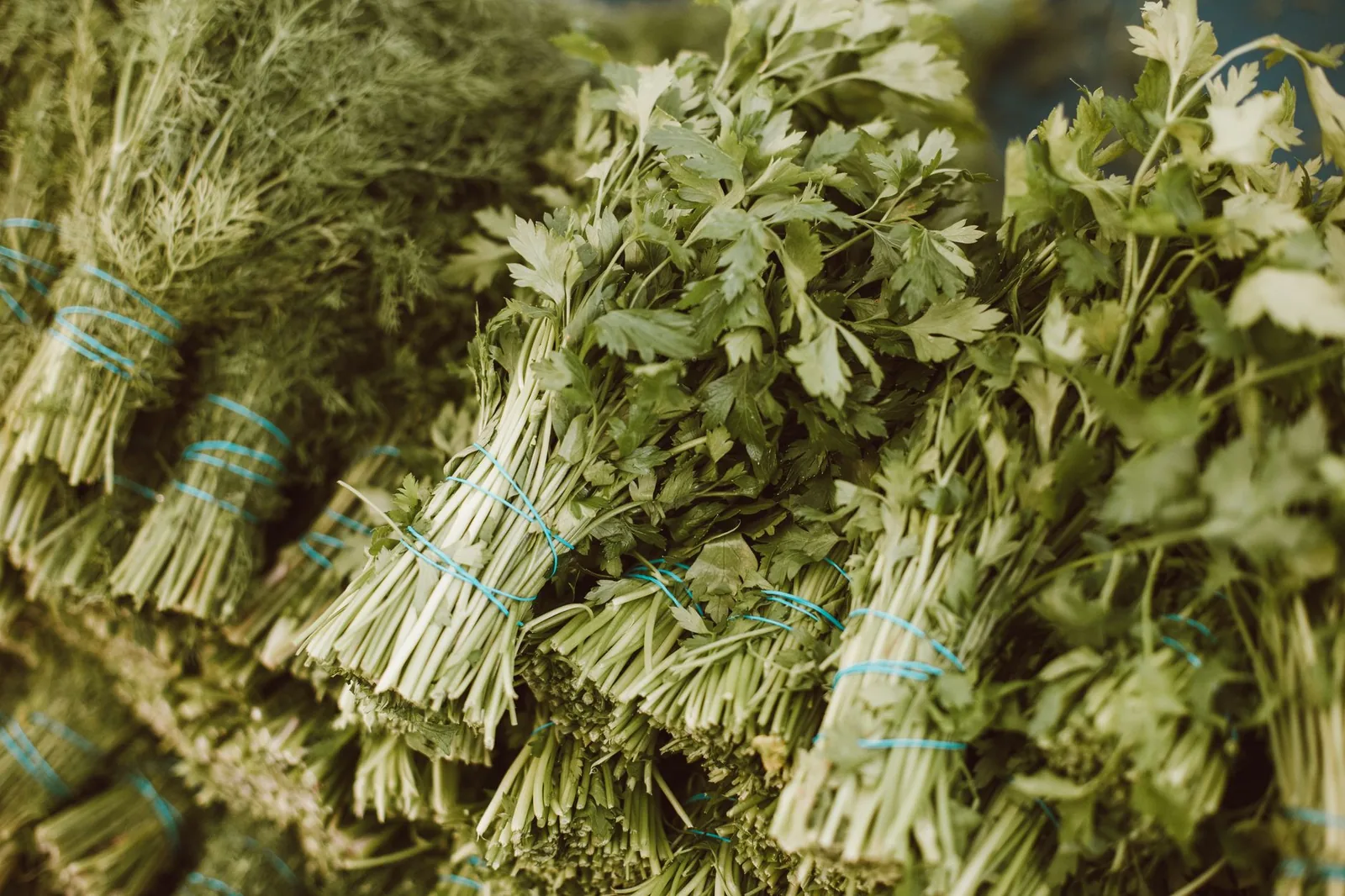 A bunch of fresh parsley