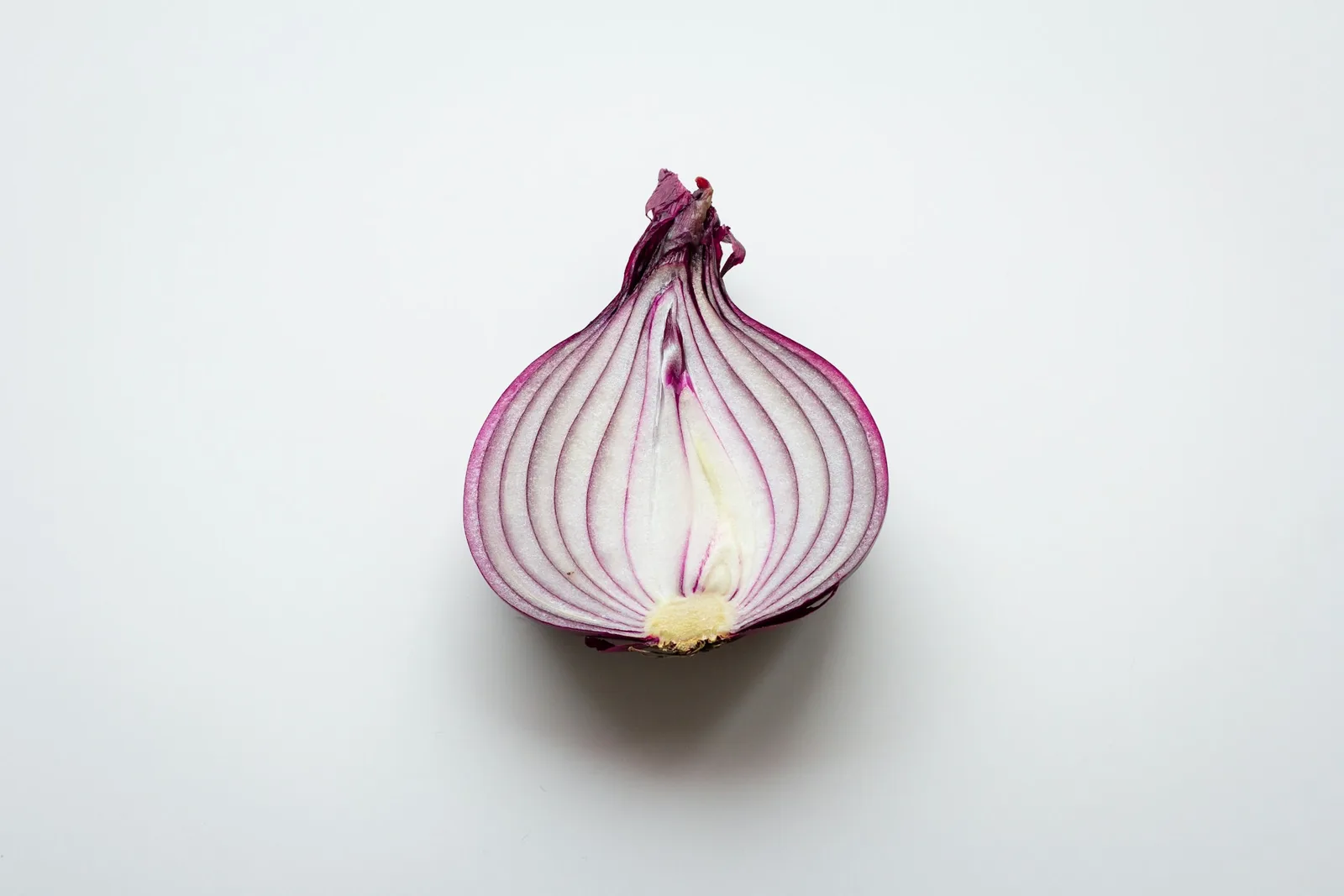 Raw onion sliced into rings