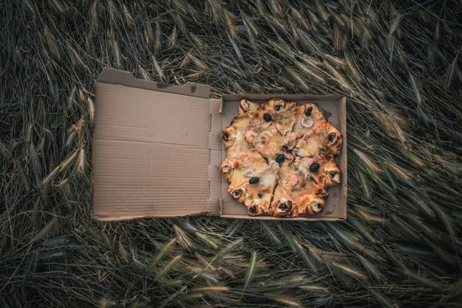 A pizza in an open box