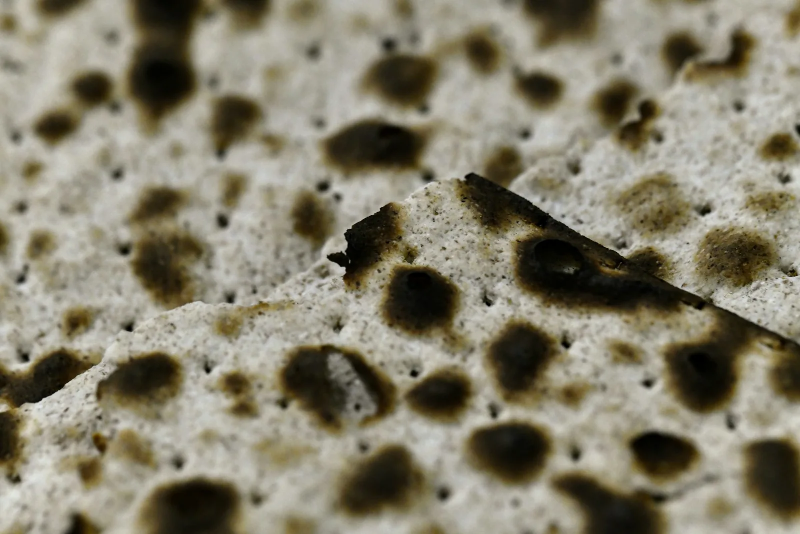 Charred spots on a pizza base