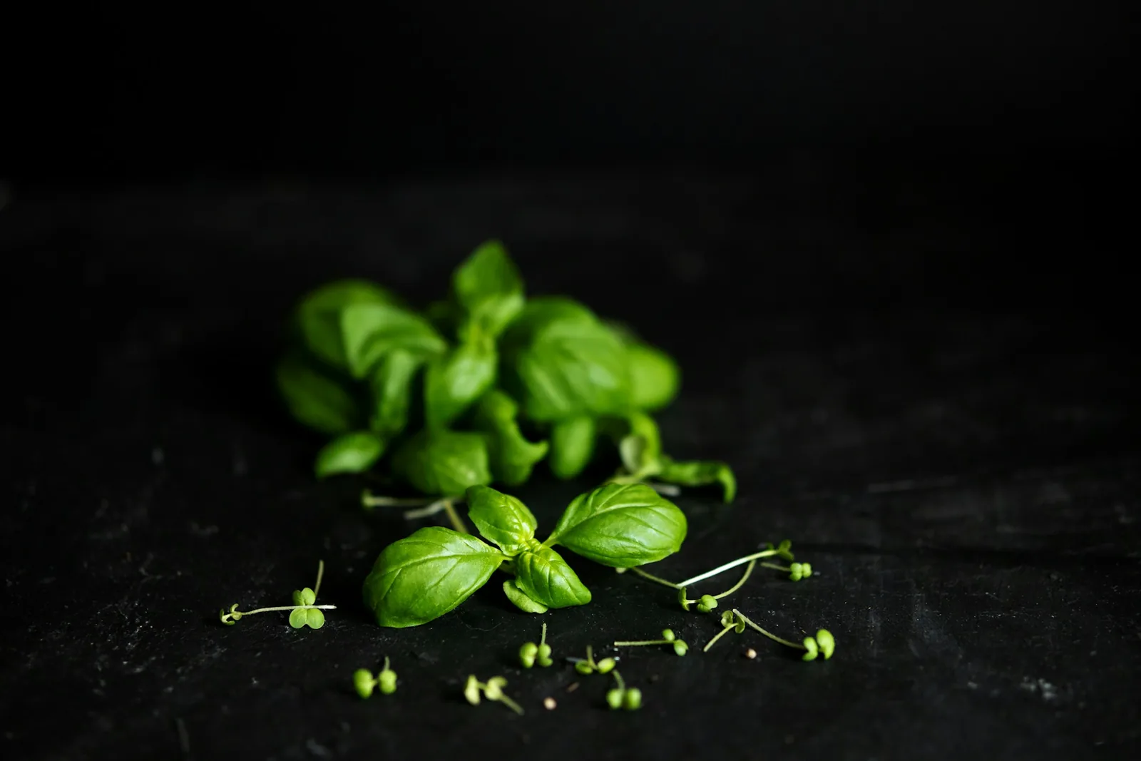 A herbed pizza on a dark background