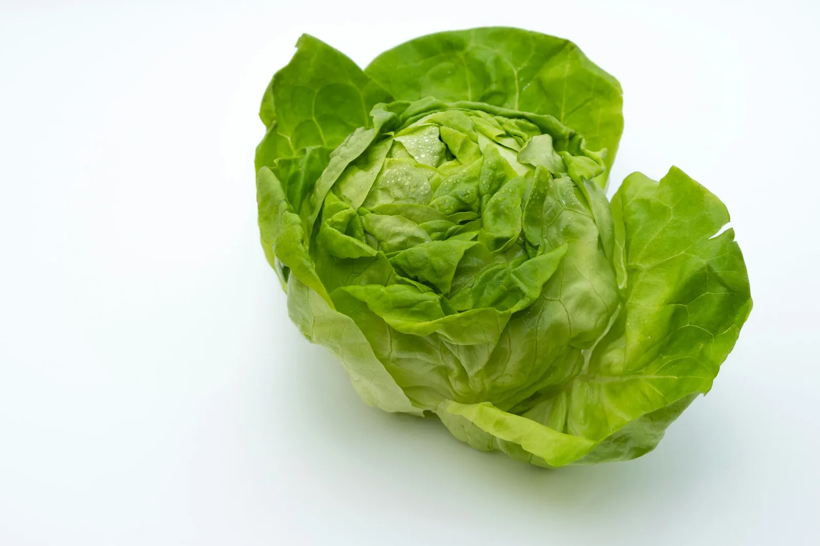 Crisp lettuce leaves