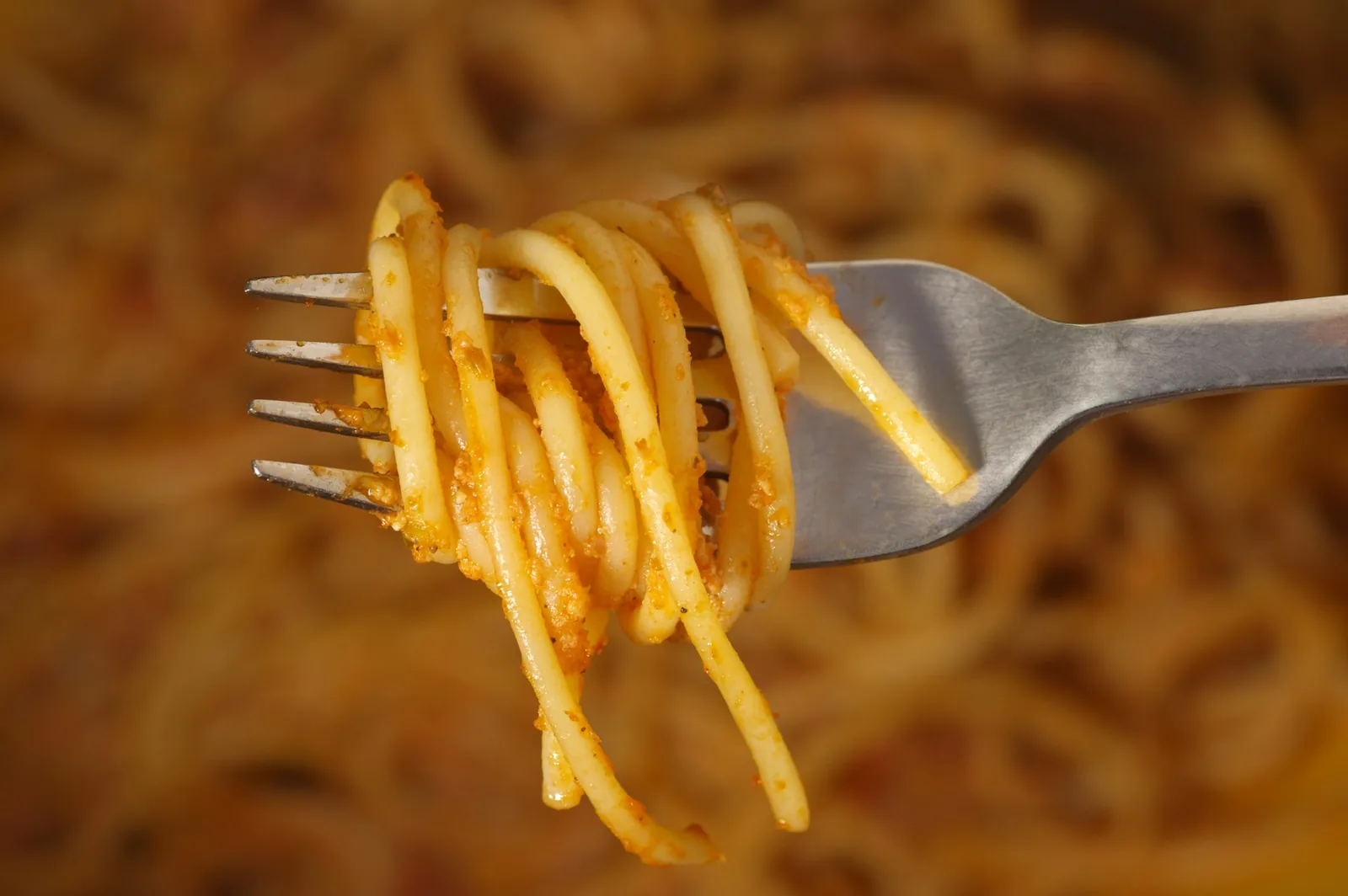 Spaghetti twirled on a fork