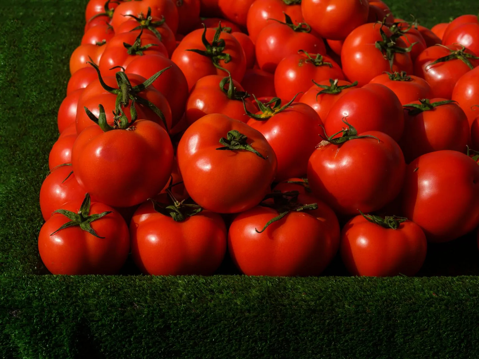 A jar of tomato passata