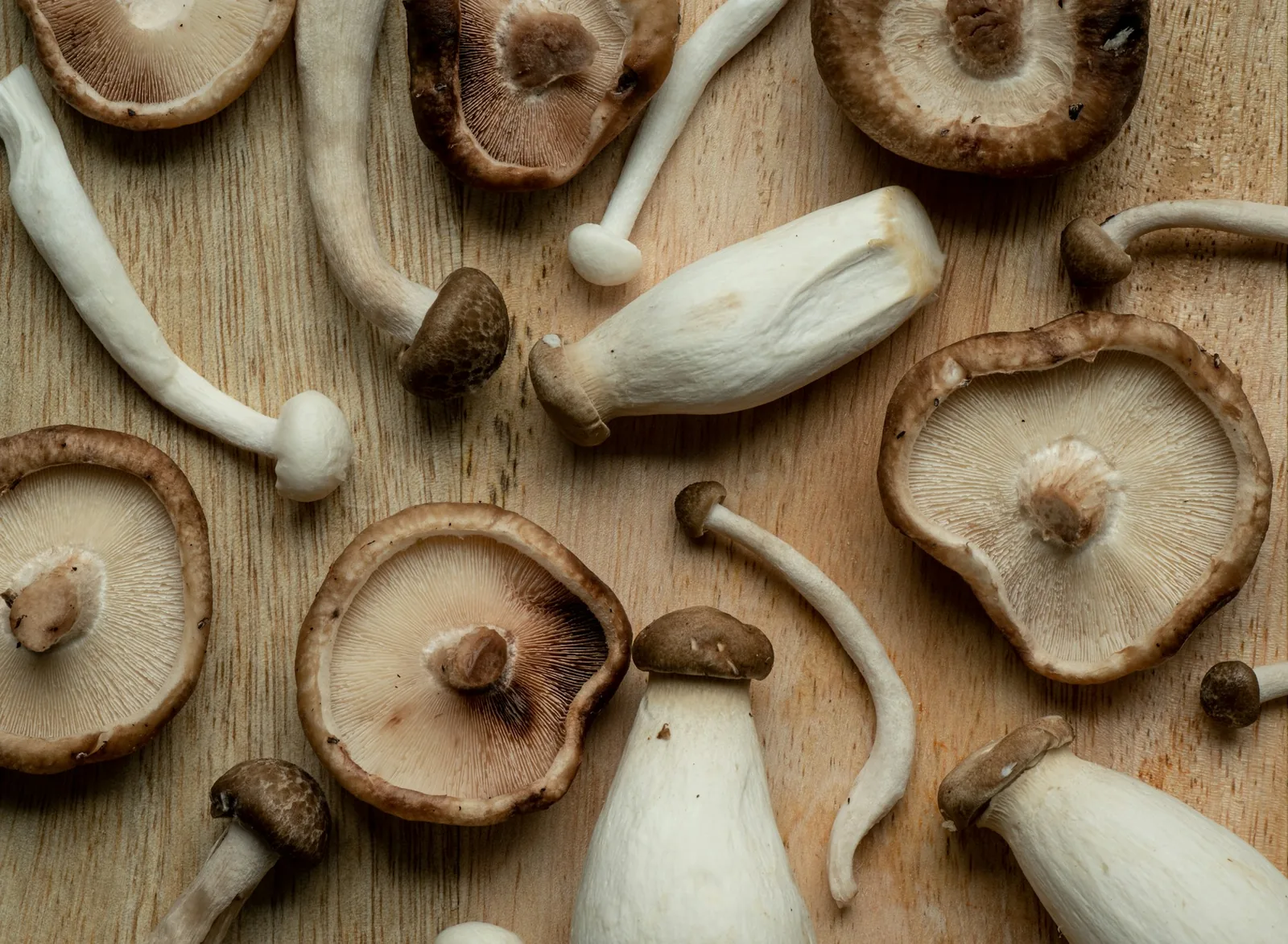 Assorted mushrooms on a board